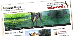 tripawds three legged dog blogs