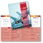Thermocouple Specification Brochure for BASF